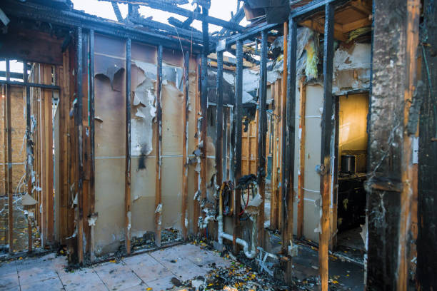 Professional Fire Damage Removal technician working in Rockledge, FL